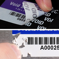Tamper Evident Asset Labels