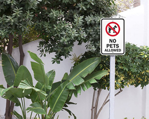 Pets Not Allowed Sign