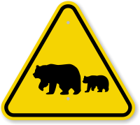 ISO  Warning Sign