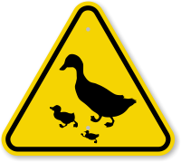 ISO  Warning Sign