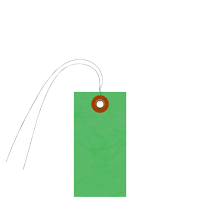 Green Blank Tyvek Shipping With Wire And Metal Eyelet