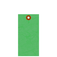 Green Tyvek Shipping Blank Tag With Metal Eyelet
