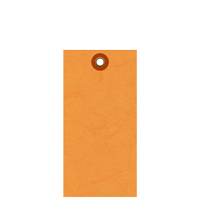 Orange Tyvek Shipping Blank Tag With Metal Eyelet