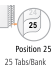 Individual Legal Numeric 25 Tab